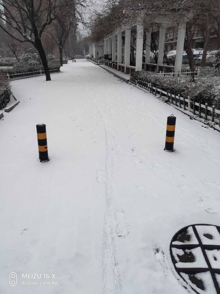 赏雪$在绿园里赏雪