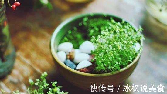 此3种“壳”，大家不要乱扔，拿来养花效果好，简单、实用！