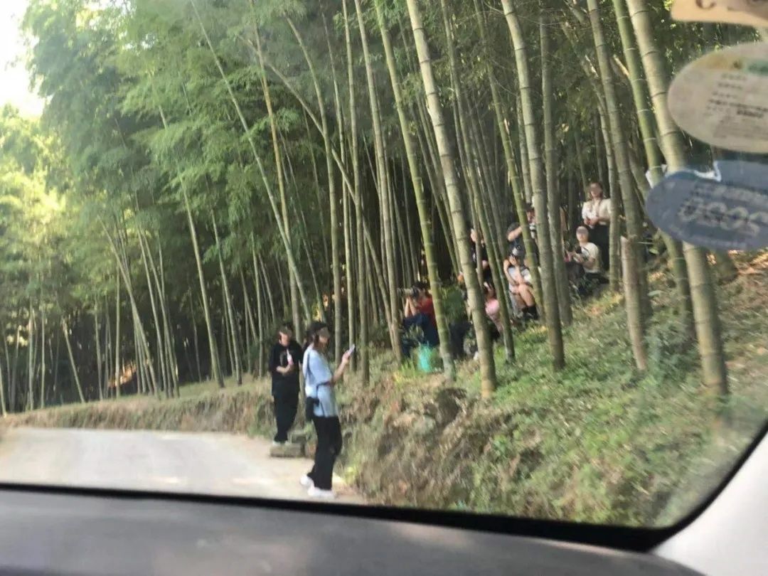综艺节目|不见明星不下山？剧组拍摄综艺节目，00后“追星族”被困山中