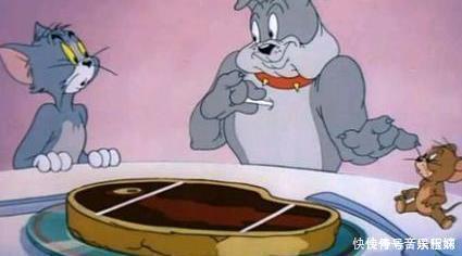小时候看猫和老鼠以为是搞笑的,长大了才知道这些都是真的