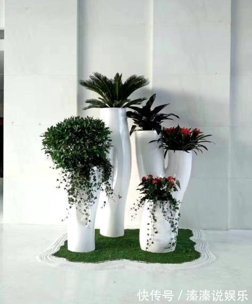 烂根|盆里加点宝，透气防烂根，养花好帮手，养一盆旺一盆！