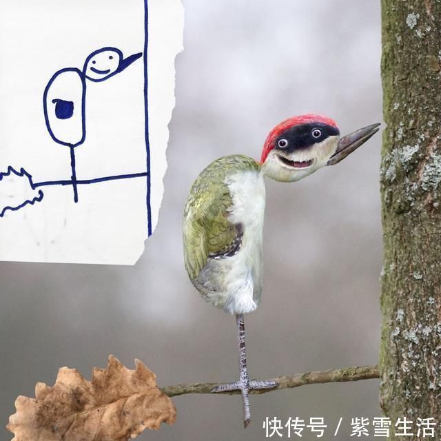 花式秀!儿子画成什么样,爸爸就能P成什么样子,花式秀父爱坐拥百万粉丝