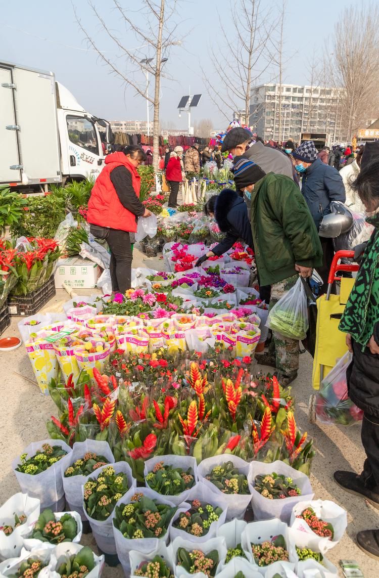 年味|山东好景丨仲宫大集年味儿浓