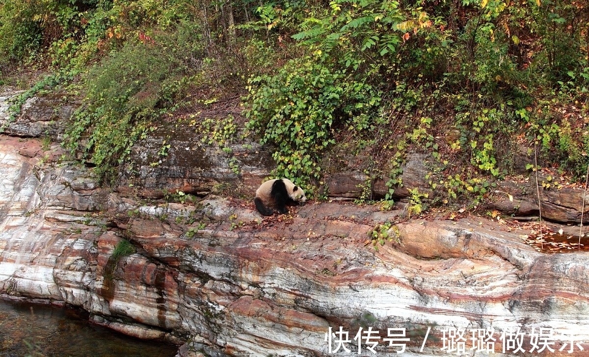 马嵬坡|宝鸡黄柏塬是秦岭里的香格里拉，秋日里的黄柏塬最值得一游