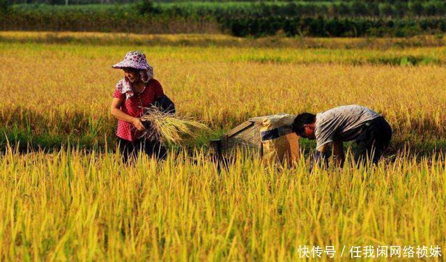 丰收|俗语“冬雪一层面,春雨满囤粮”,老农说能测来年收成,靠谱吗