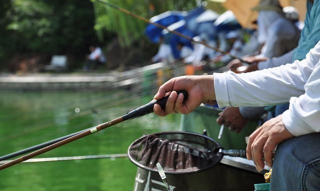吨位|有一些鱼竿,野钓用着拍手叫好,一到黑坑就被人唾弃