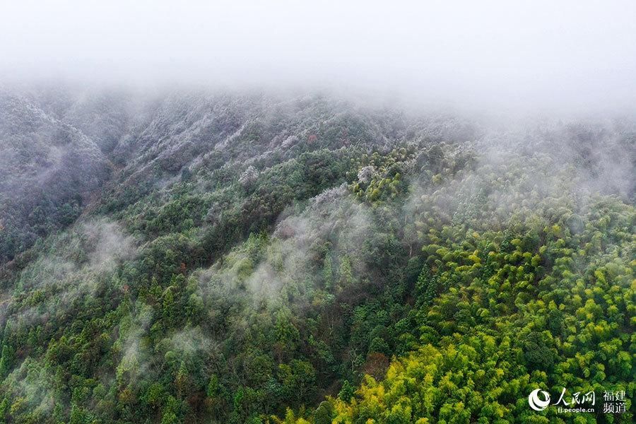 荣县东狮山|冬日美景醉游人 福建多地出现雾凇景观