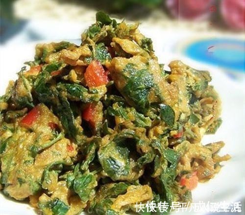 韭菜茴香靠边站，它才和鸡蛋绝配，健胃散寒，化痰湿，比香椿好吃