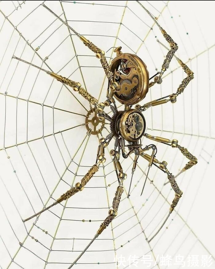 排水管|65个活久未见的设计,一战纪念碑是一家人的“合影”,但缺一个人