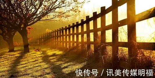 痕迹|那些年十二星座受过的伤