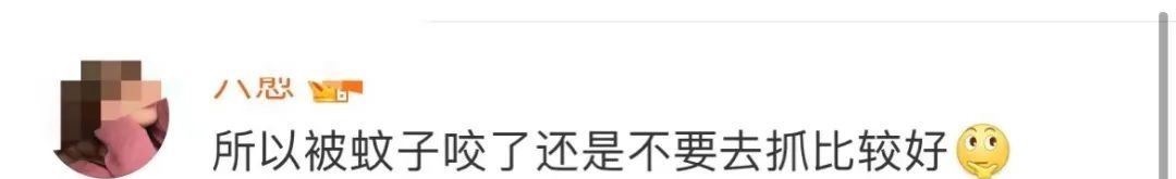 医生|被蚊子咬了一口,孕妈紧急剖宫产保命!1岁宝宝也中招!医生紧急提醒……