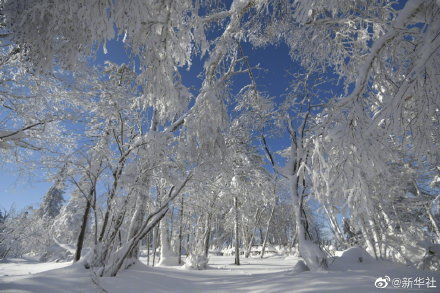 雪乡|中国雪乡恢复开园