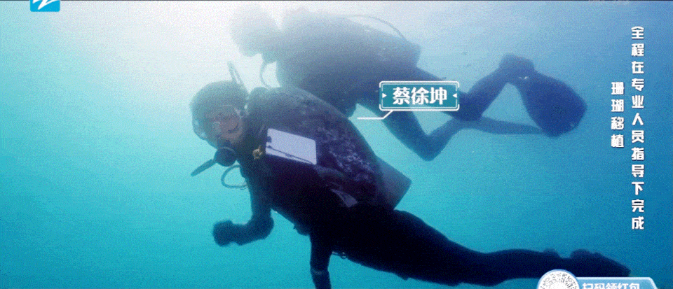 奔跑吧|蔡徐坤《奔跑吧》第11期正片播出 为你直击BKing大型社死现场!