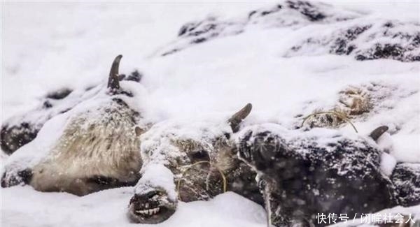 冬夜|没有棉被的时候,古代寒冷的冬夜,穷人和富人如何过冬?