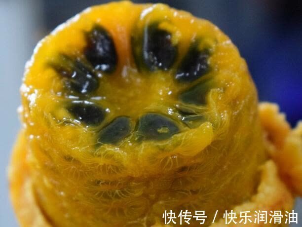 宣传|曾是南方农村野果,如今十元一斤,成网红果,北方人却表示没见过