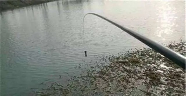 冬季钓鱼时,要知道“诱钓”很重要,在冷天也可以连竿不断