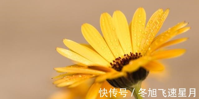 缘分|桃花滚滚，难解难分，心想事成，缘分来袭，再不分走