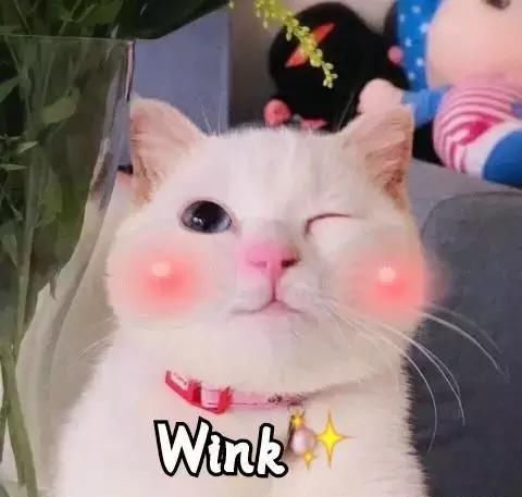 平价气垫也能很好用！这5款百元出头的气垫，妆效也很高级