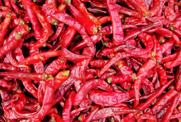 看上去很美|重大消息大量上市的“有毒菜”,别再贪便宜买来吃,小心进医院