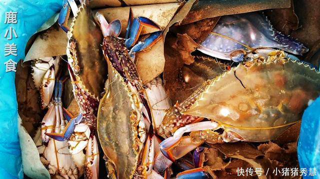 鱼贩|梭子蟹不会挑鱼贩教你挑蟹小技巧，保证新鲜肉肥，一挑一个准