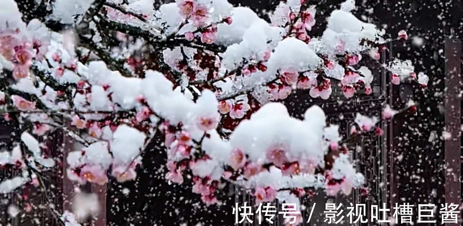 除夕夜&陆游在除夕夜举杯未饮先作诗,窗外大雪纷飞,屋内灯火暖暖