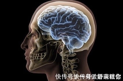 进化|为何动物的生产那么轻松,而人类分娩却疼得撕心裂肺?