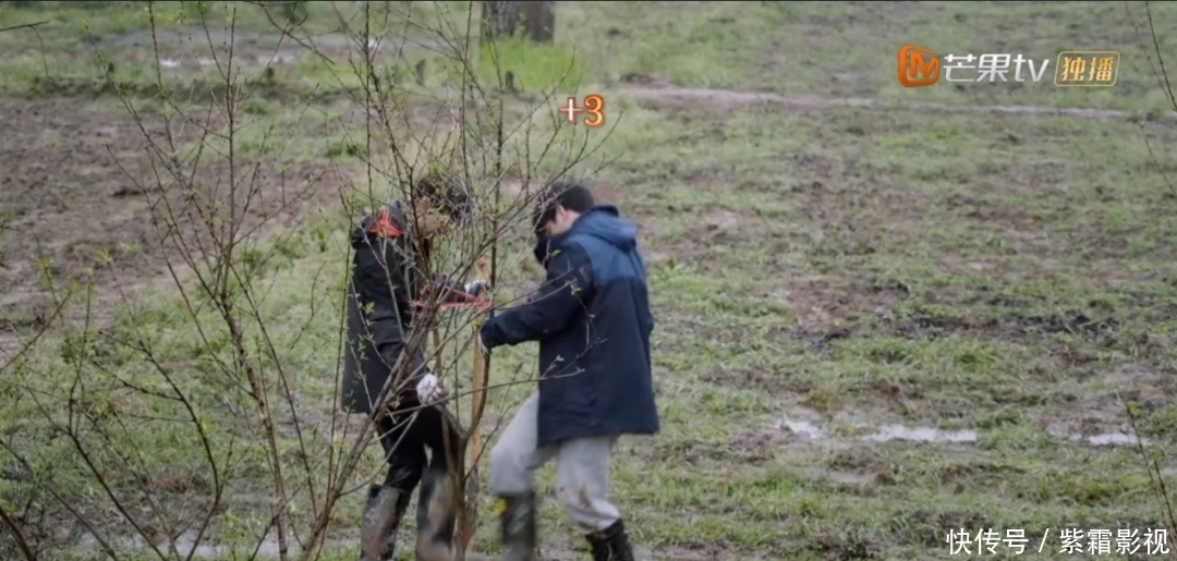 张艺兴首次成常驻嘉宾,《向往的生活5》凭啥成慢综艺“独苗”?