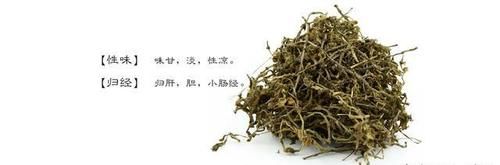 垂盆草还有其它名字吗？是一种什么样的草？