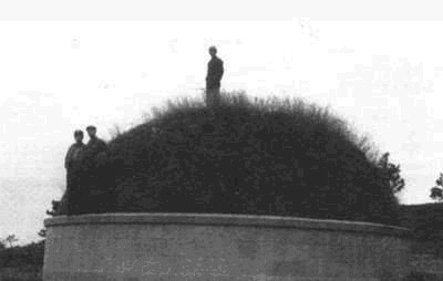 留下|汪精卫儿子回国祭拜父亲,看见父亲的跪像,结果留下9个字扭头直接离开