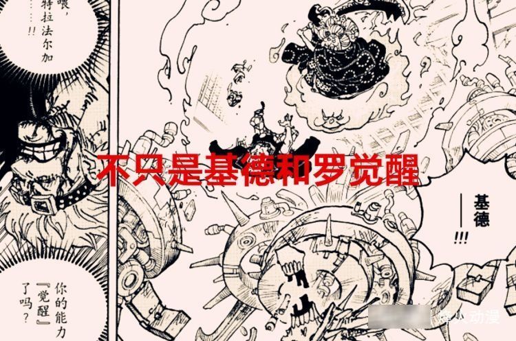 超人系|海贼王:不只基德和罗觉醒,大妈的果实也觉醒了,超人系屹立巅峰