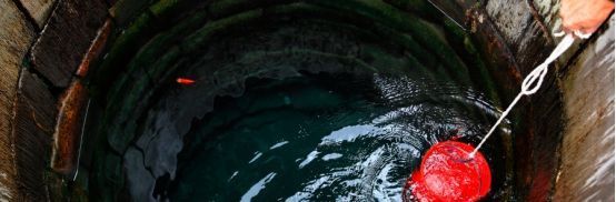 不吃|为啥人们吃海鱼、河鱼、湖鱼,却不吃井鱼看完涨知识