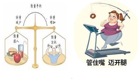 理智|减脂期间，如何摆脱对食物的情感依赖，做到更好地控制饮食？