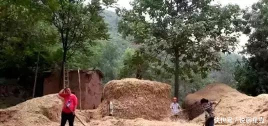 满满的|二十多年前收麦子的老照片,满满的丰收喜悦