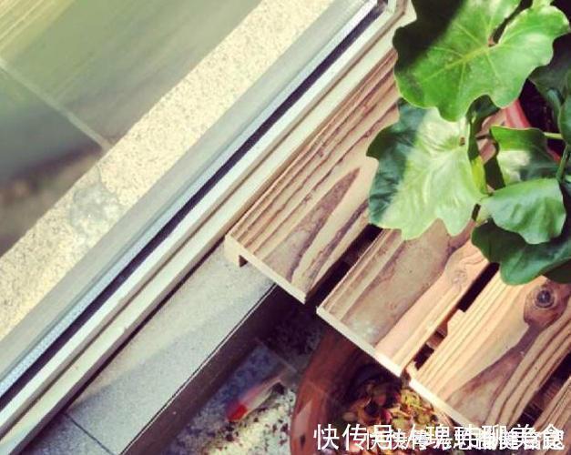 窗台|老公硬把阳台加宽了40cm，完工后美观又实用，估计你们没见过！