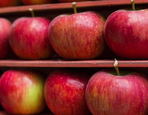 胰岛素|糖尿病“忌食榜”已公布，提示：这6种主食，建议糖尿病患者少吃