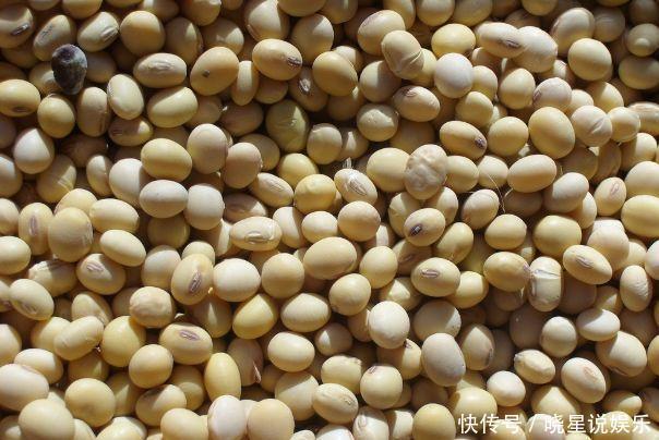 绿豆,黄豆,红豆,什么豆更健康吃对才能健康又长寿