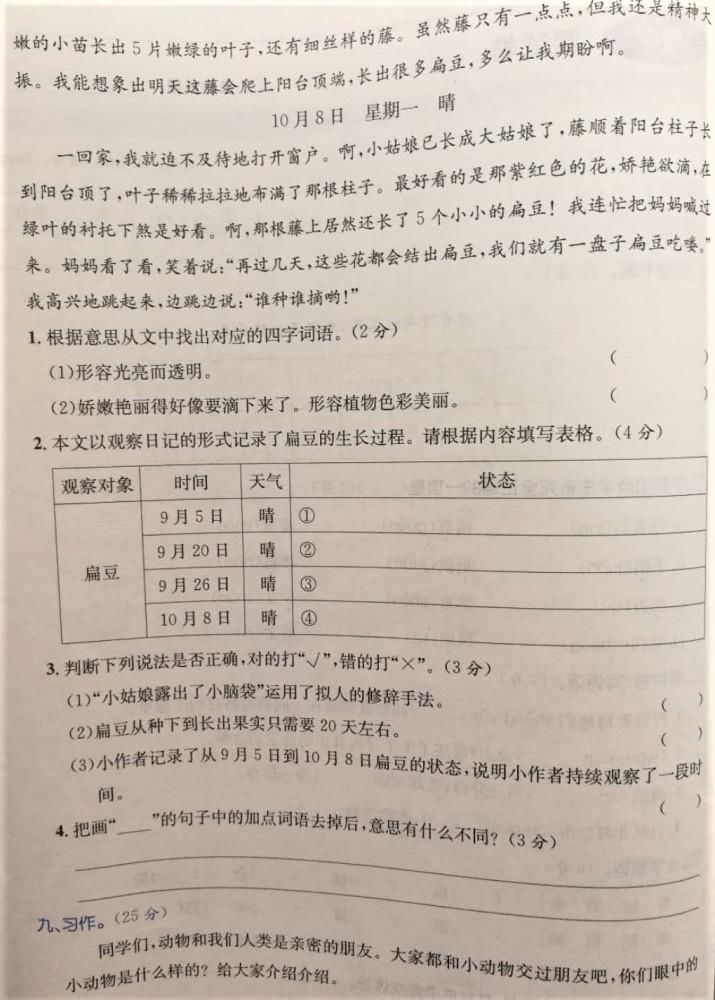 语文|为您讲解：部编版四年级语文上册期中试卷，小学语文究竟有多难？