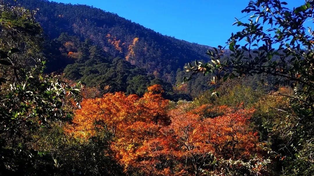 这里是山南，一个美丽的地方