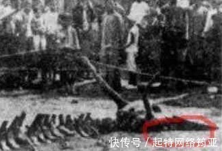 龙眼睛#种种迹象表明,中国传说中的龙可能真的存在,日本就有龙的标本