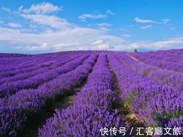 大海|10个此生应去的国内旅行地，第一个就让人念念不忘！