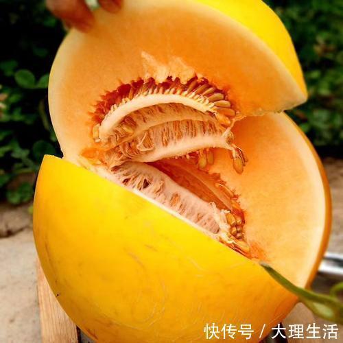 大黄|年过50想长寿就要会吃,尤其是这几种“软黄金”,营养高还好吸收