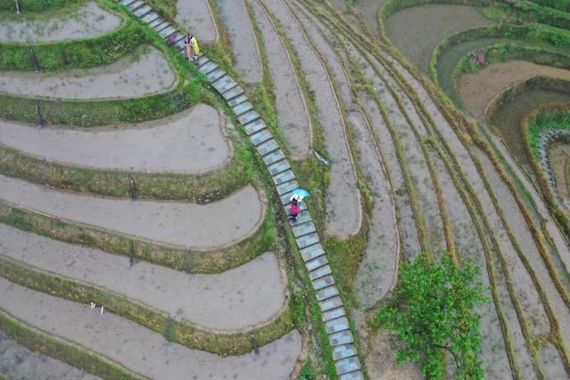 龙脊梯田|烟雨龙脊景色美