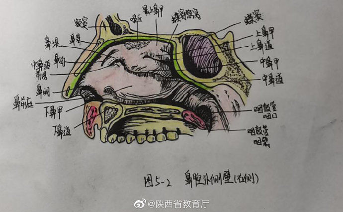  种颜色|护理学的笔记，需要多少种颜色？