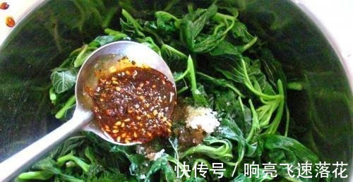 野菜|这野菜农村遍地都是，是小孩的天然钙片，含钙量多还容易吸收！