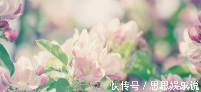 这首诗$李清照的这首《残花》,被很多认为是败笔,虽然有瑕疵但同样经典