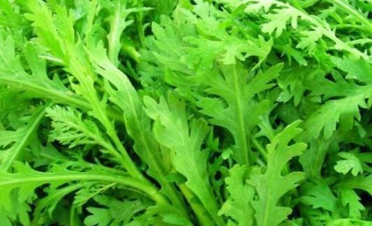 长寿|肝不好的人，离不开以下“4种”食物，慢慢的变得更长寿