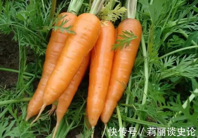 黄褐斑|女人“黄体酮”不足易长斑?医生:若想改善肌肤,4物不妨敞开吃