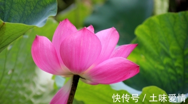 分寸|做人,可以精明,但不能“过头”