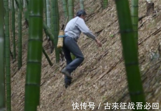 技艺|竹海飞人8岁爬竹子,年过半百仍在竹上行走,今无人传承境地尴尬