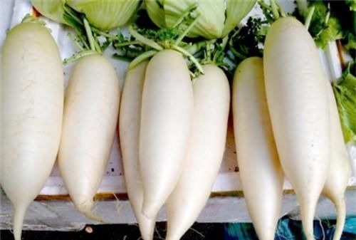 菊苣|尿酸高、痛风发作难忍医生多吃这4种食物,越快知道越好